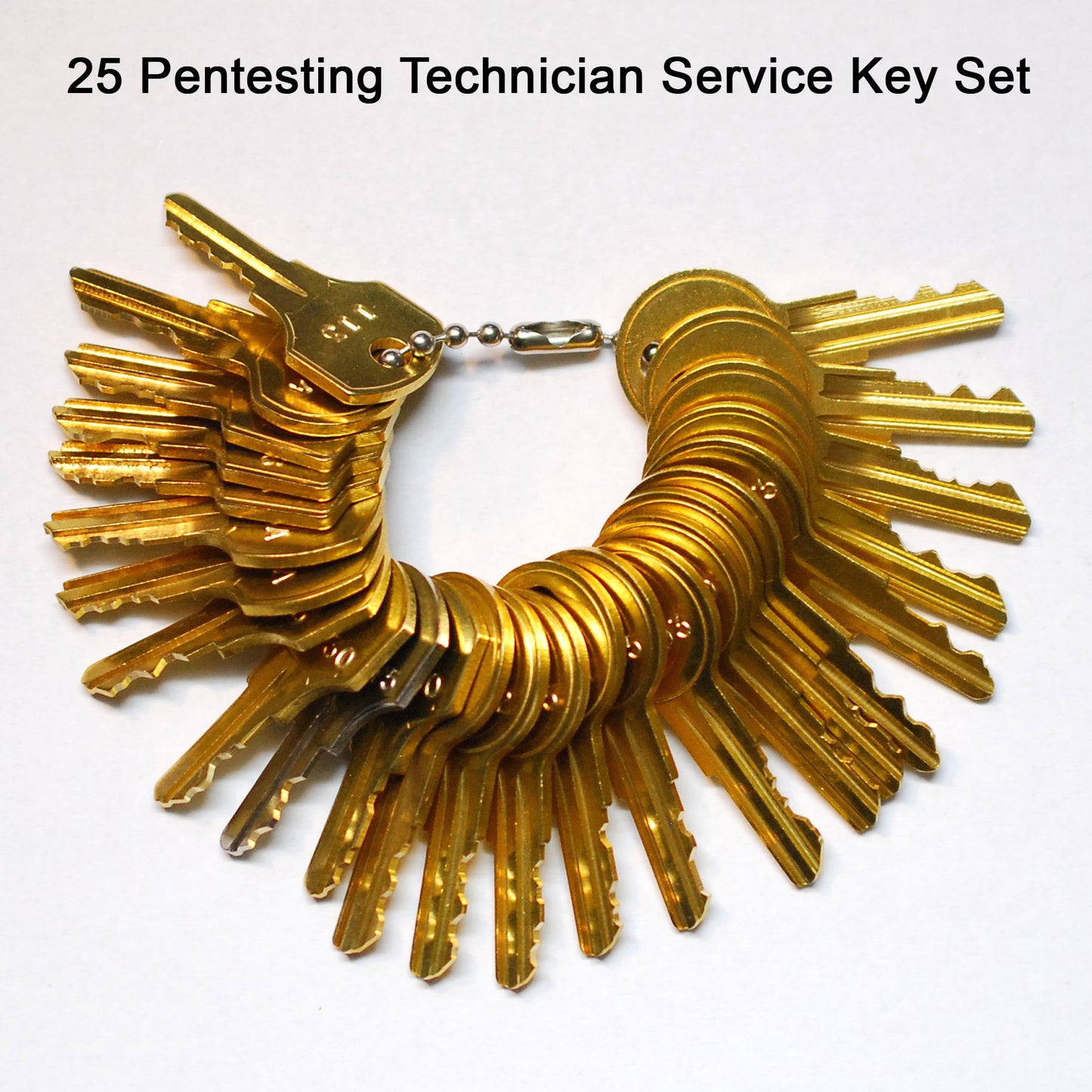 25 Pentesting Technician Key Set