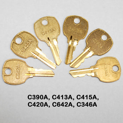 14 OEM (Original Equipment Manufacturer) Pentesting Key Set